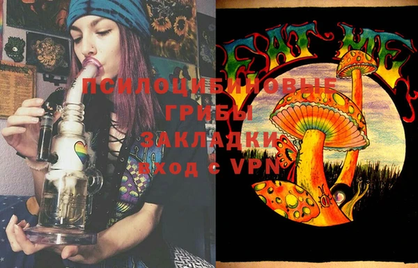 гидропоника Коряжма