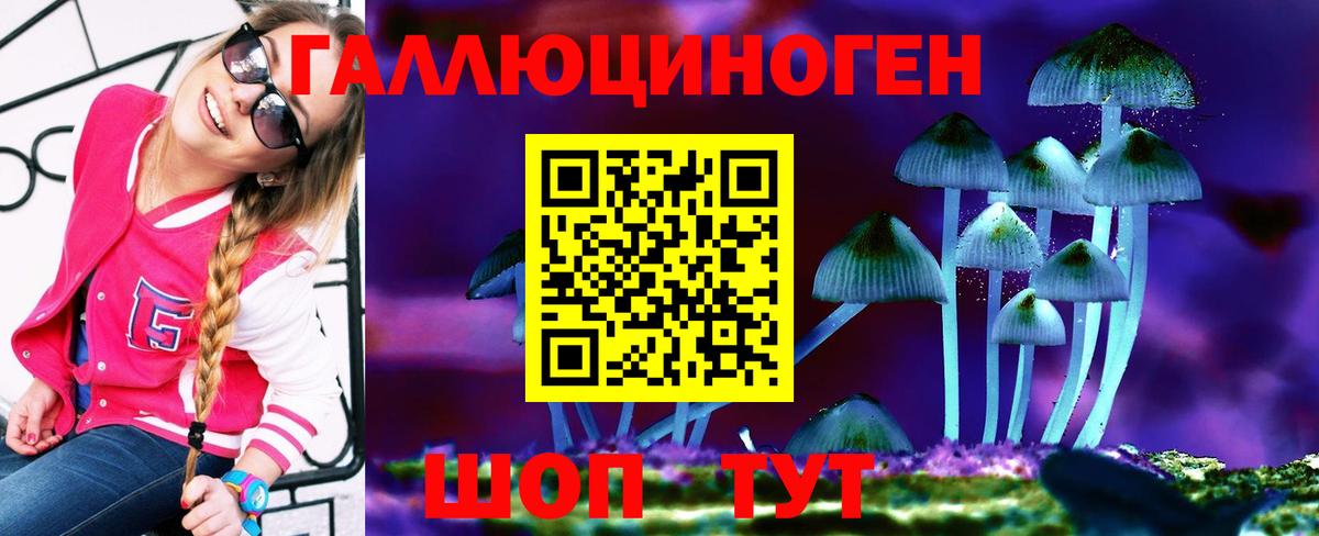 Псилоцибиновые грибы Magic Shrooms Абакан
