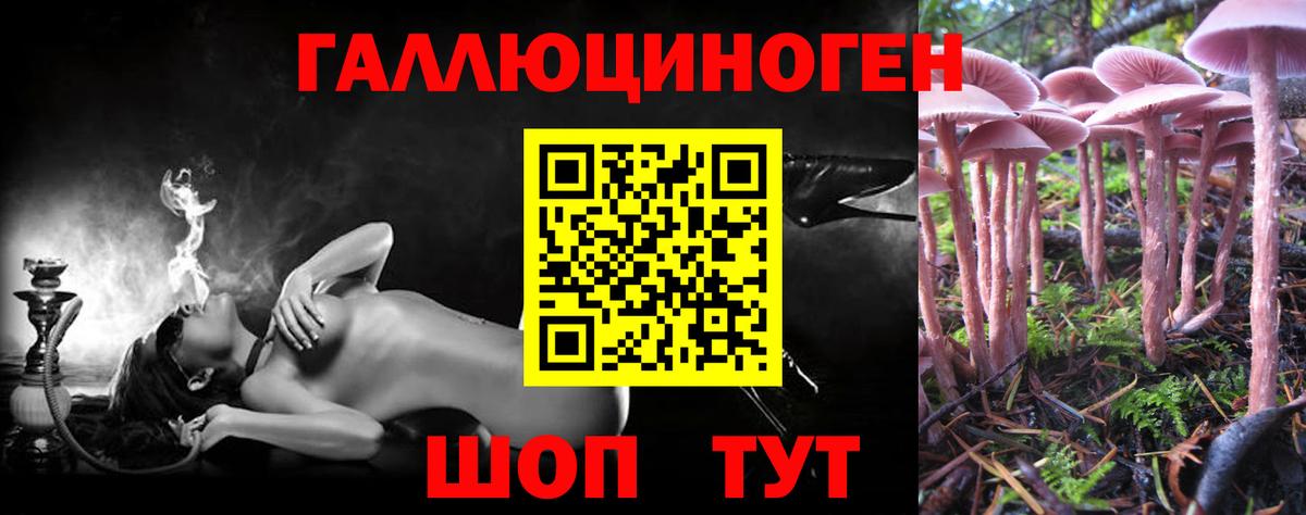 Псилоцибиновые грибы мицелий  Псилоцибиновые грибы Psilocybe  Вход с VPN  Абакан 